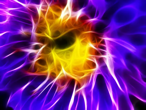 stock image Abstract flower fractal