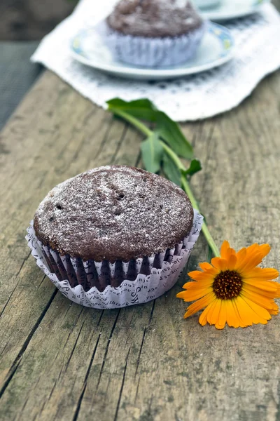 stock image Muffins