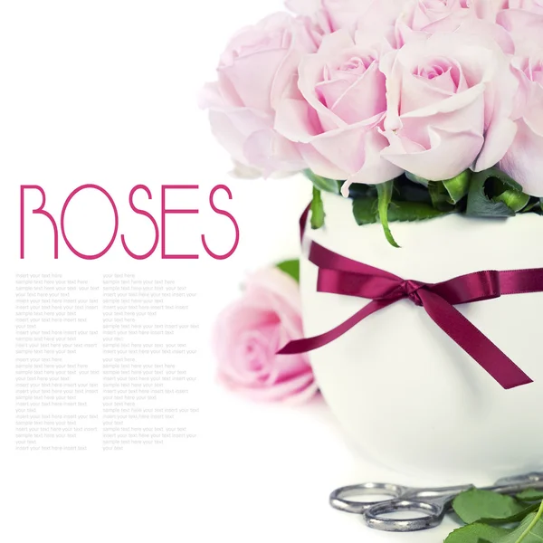 Roses in a pot — Stock Photo, Image