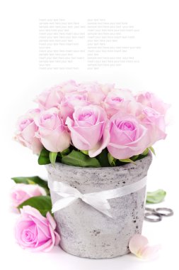 Roses in a pot clipart