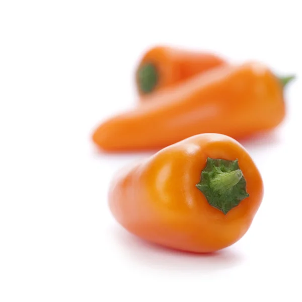 Orange peppers — Stock Photo, Image