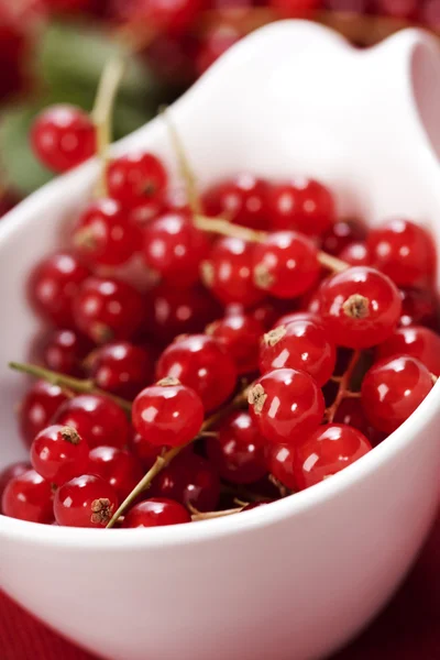 Ripe red currant berries — Stock Photo, Image