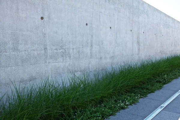 Zielona trawa i biały mur — Zdjęcie stockowe