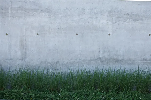 Зеленая трава и белая стена — стоковое фото