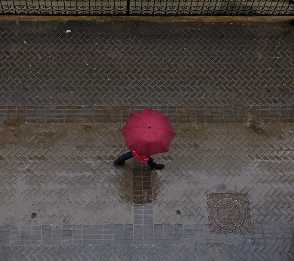 Farbschirme an regnerischen Tagen — Stockfoto