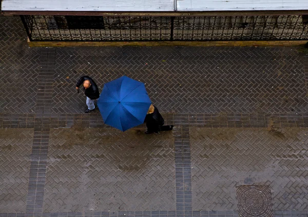 비오는 날에 색 우산 — 스톡 사진
