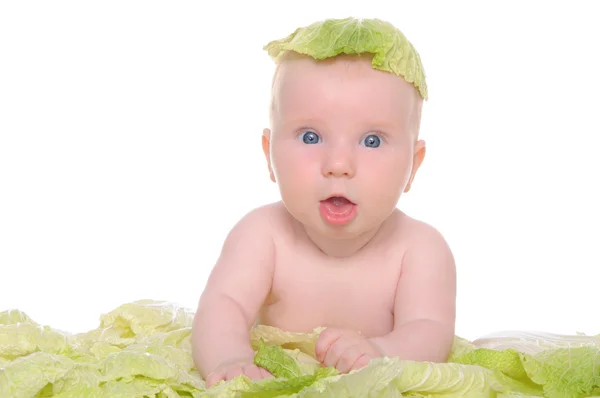 Маленький ребенок сидит среди листьев капусты — стоковое фото