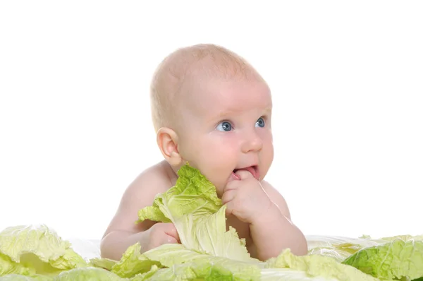 Małe dziecko siedzi wśród liści kapusty — Zdjęcie stockowe