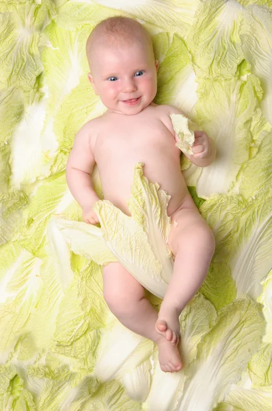 Criança pequena está entre as folhas de alface — Fotografia de Stock