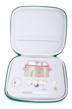 Dental model case clipart