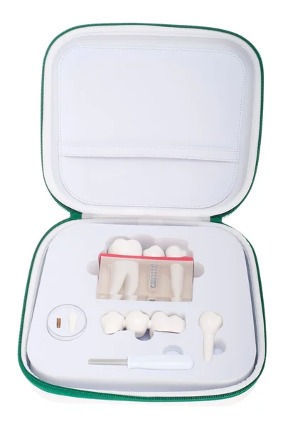 Dental model case — Stock Photo, Image