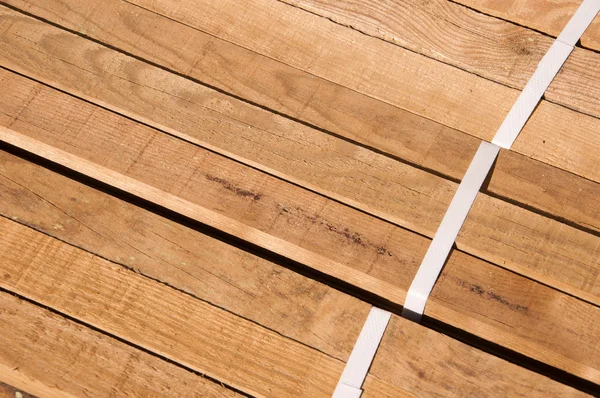 Pine kayu log — Stok Foto