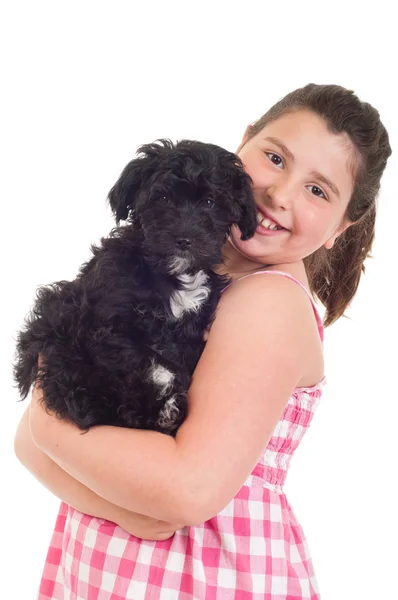 Девочка держит собаку — стоковое фото