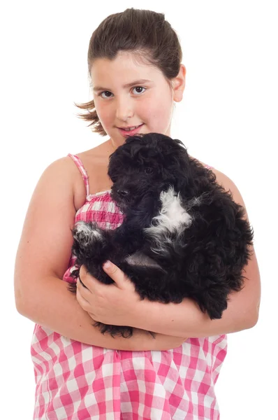Девочка держит собаку — стоковое фото