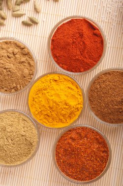 Indian spices clipart