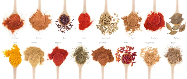 Spices collection on spoons — Stock Photo, Image