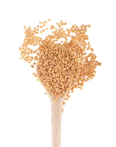 Fenugreek seeds — Stock Photo, Image