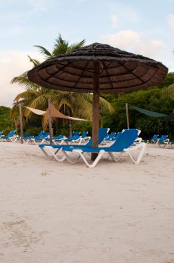 Plaj sandalyeleri ve şemsiye