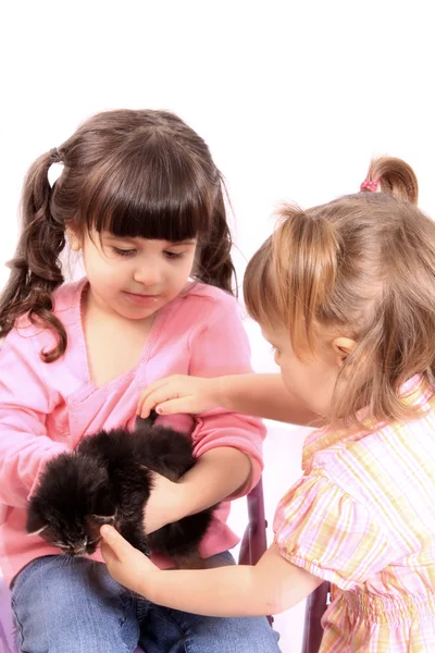 Girls holding kitten — Stock Photo, Image