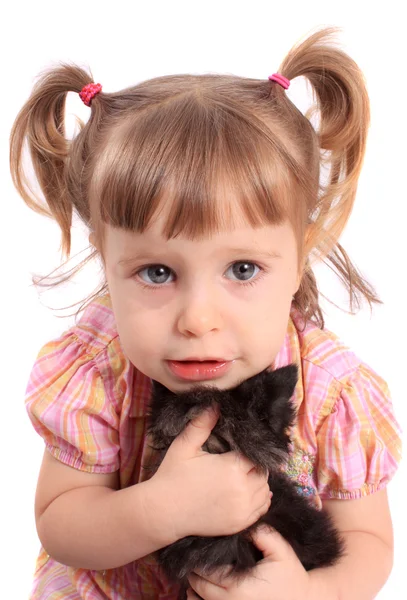 Lilla flickan anläggning kattunge — Stockfoto