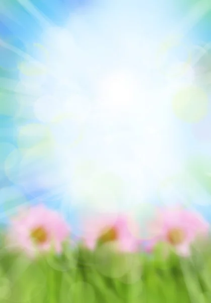 Burst of light in spring background — Stock Photo, Image