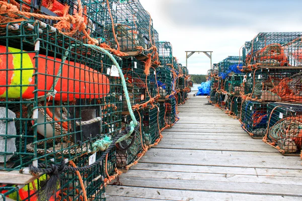 Lobster traps and buoys — Stock Photo, Image