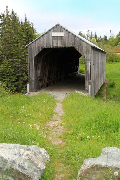 Overbygd bro av tre – stockfoto