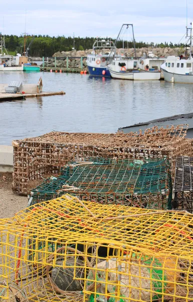 Lobster traps and buoys — Stock Photo, Image