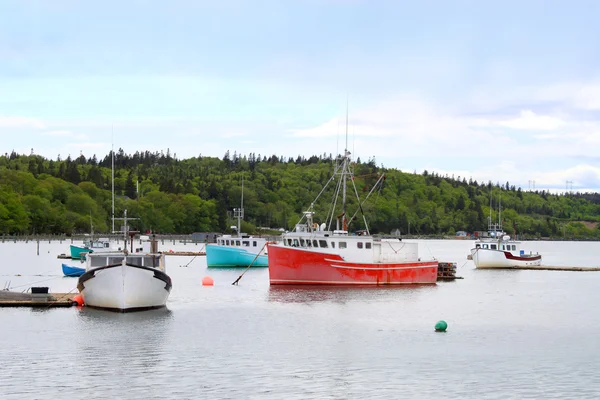 Barche da pesca in Dipper Harbour, NB — Foto Stock