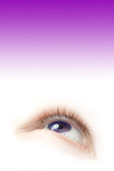 Фиолетовый глаз — стоковое фото