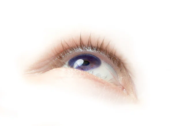 Purpurové oko — Stock fotografie