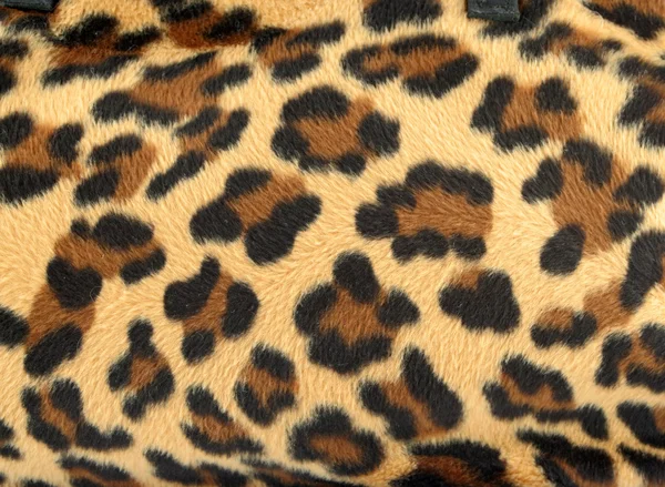 Leopardí pozadí — Stock fotografie
