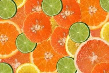 Citrus fruits clipart