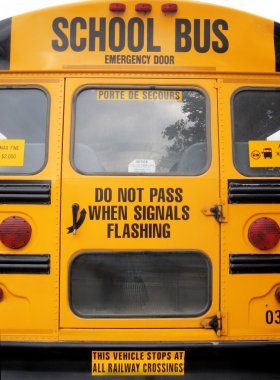 School buses clipart