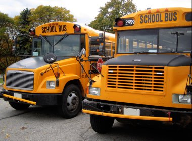 School buses clipart