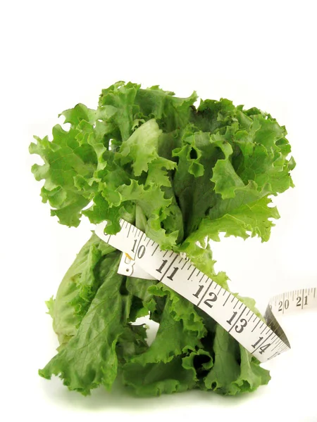 Skinny lettuce — Stock Photo, Image