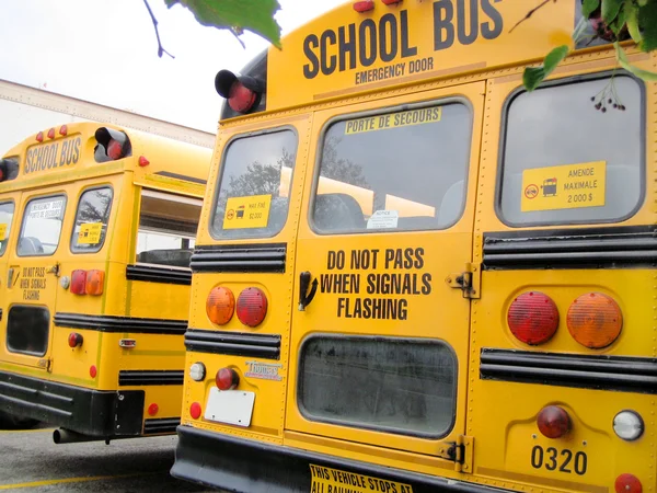 Autobusy szkolne — Zdjęcie stockowe