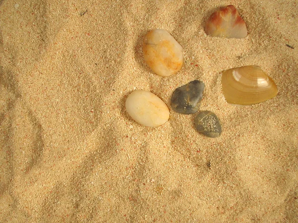 Beach items — Stock Photo, Image