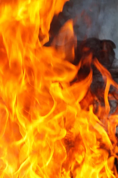 Eld brinnande katastrof flame — Stockfoto