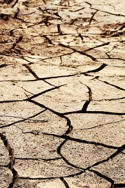 Cracked desert soil — Stock Photo, Image