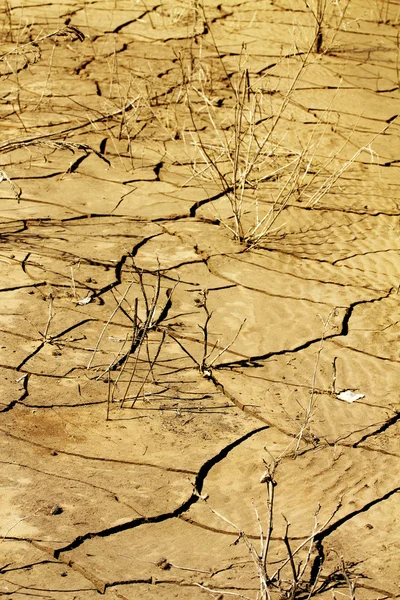 Catastrophe des sols désertiques fissurés — Photo
