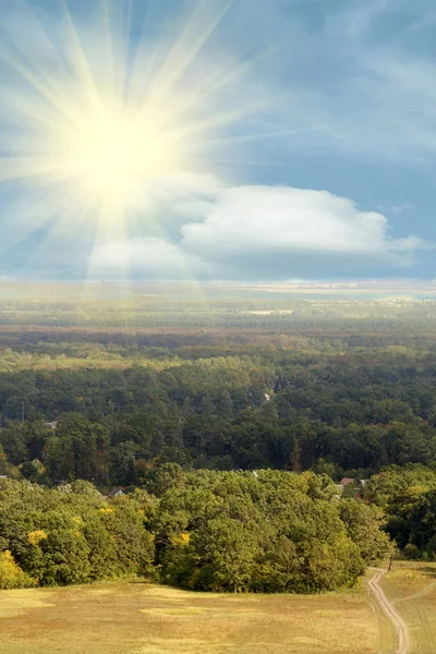 Sonne Himmel Wolken Wald — Stockfoto