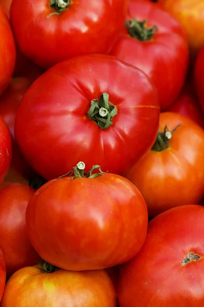Groenten tomaten rijp — Stockfoto