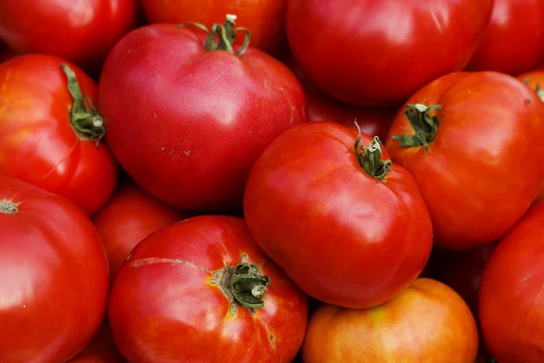 Groenten rijpe tomaten — Stockfoto