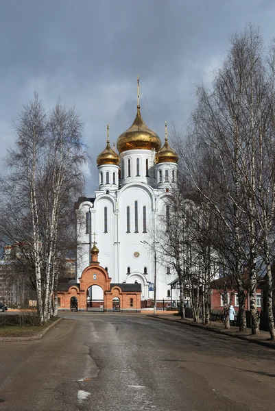 Syktyvkar. Cathedral Stephen of Perm — Stock Photo, Image