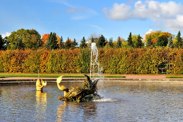 Peterhof. fontein dragon — Stockfoto