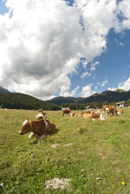 çayırlar, val visdende, İtalya