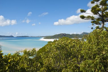 Whitehaven Beach, Australia clipart