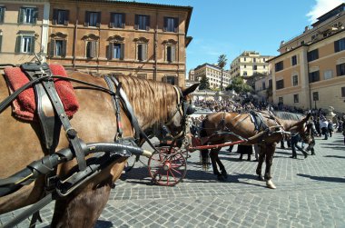 Piazza di Spagna in Rome, Italy clipart