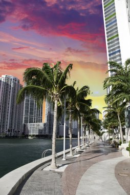 Miami beach binalar ve renkler, ABD.